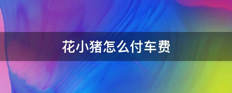 花小猪怎么付车费 花小猪小程序怎么支付车费