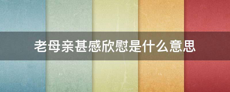 老母亲甚感欣慰是什么意思 老母亲感到甚是欣慰