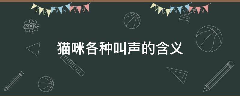 猫咪各种叫声的含义（猫咪的各种叫声代表什么）