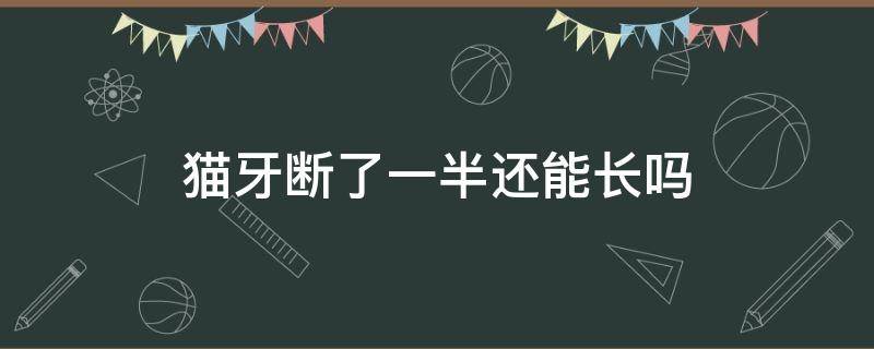 猫牙断了一半还能长吗（猫的牙断了会不会再长出来）