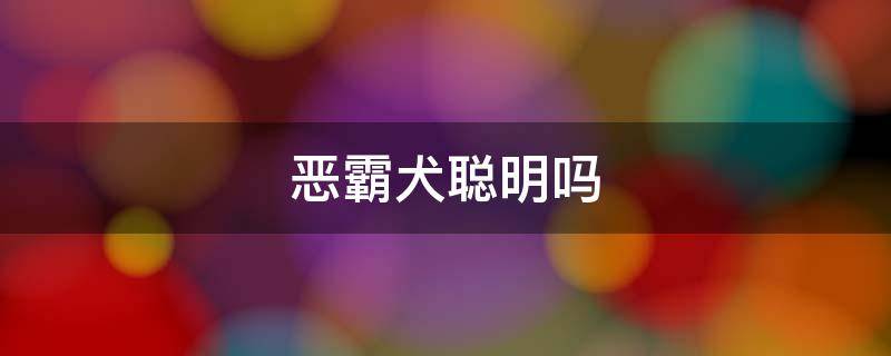 恶霸犬聪明吗 恶霸犬是不是很笨