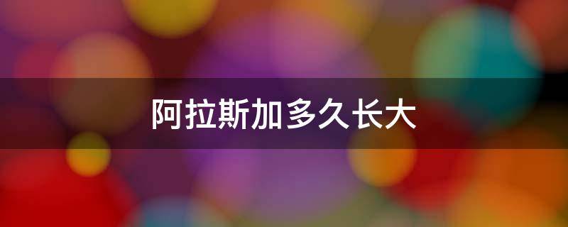 阿拉斯加多久长大 阿拉斯加长大需要几个月