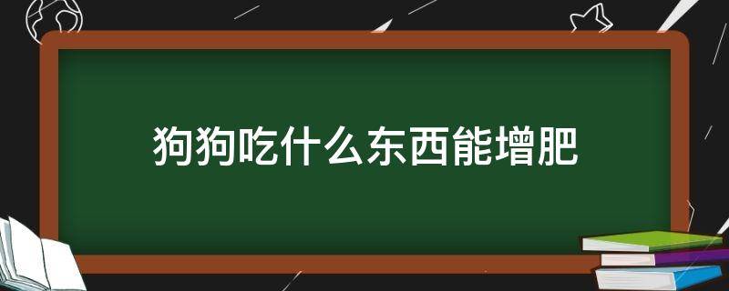 狗狗吃什么东西能增肥 狗狗增肥吃什么好