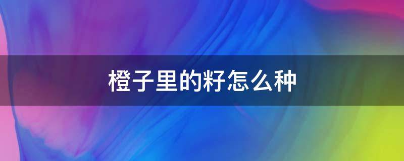 橙子里的籽怎么种 用橙子籽种出的苗