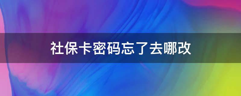 社保卡密码忘了去哪改 社保卡密码忘了去哪儿改