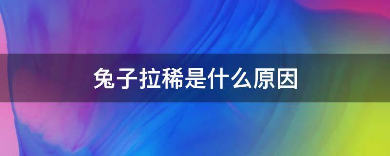 兔子拉稀是什么原因 兔子拉稀是什么原因引起的