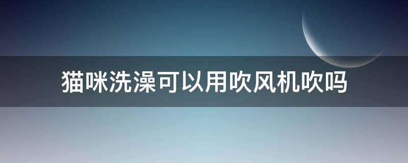 猫咪洗澡可以用吹风机吹吗 给猫咪洗澡能用吹风机吗