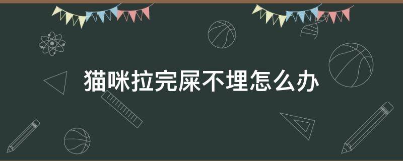 猫咪拉完屎不埋怎么办（猫咪拉完粑粑不埋怎么办）