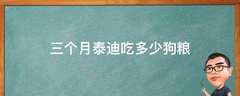 三个月泰迪吃多少狗粮 三个月泰迪吃多少狗粮好