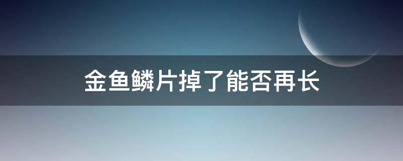 金鱼鳞片掉了能否再长 金鱼鳞片掉了,多长时间能长出来