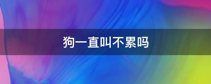 狗一直叫不累吗 为什么狗叫不会累