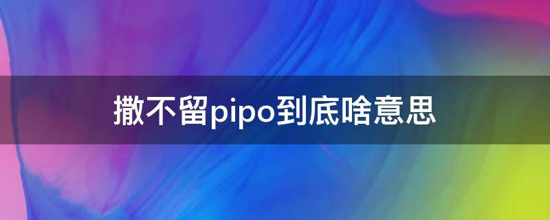 撒不留pipo到底啥意思 撒不留pipo什么意思