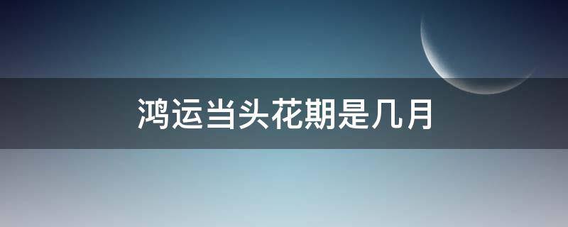 鸿运当头花期是几月（鸿运当头花开到几月）