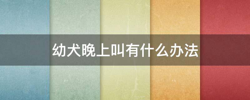 幼犬晚上叫有什么办法 幼犬晚上叫怎么解决