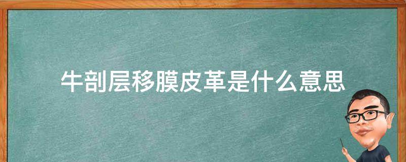 牛剖层移膜皮革是什么意思 牛剖层移膜皮革是什么意思?