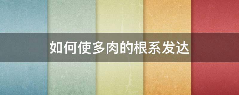 如何使多肉的根系发达 促进多肉根系生长的方法