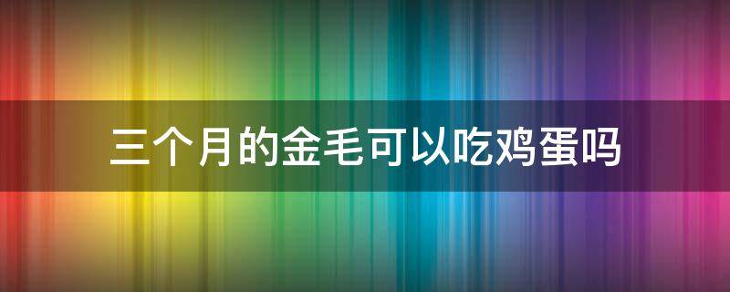 三个月的金毛可以吃鸡蛋吗 三个月大的金毛可以吃鸡蛋吗