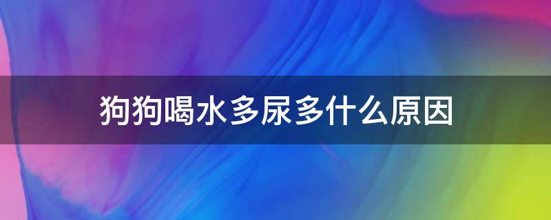 狗狗喝水多尿多什么原因（狗狗喝水多尿多咋回事）