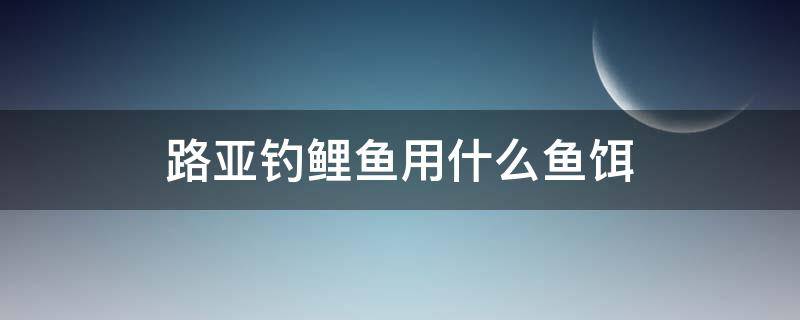 路亚钓鲤鱼用什么鱼饵 路亚钓鲤鱼饵是什么饵