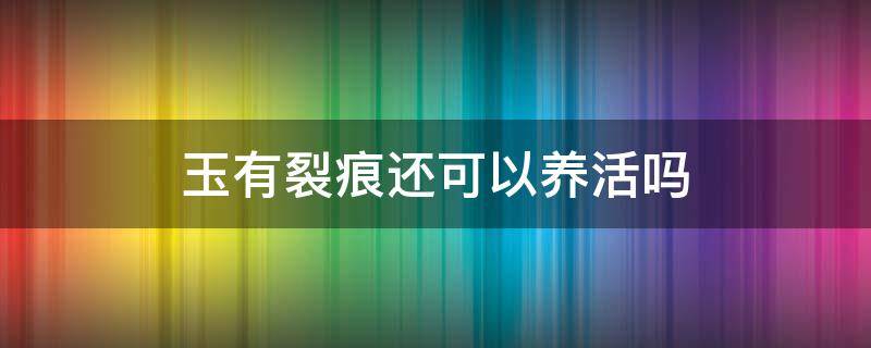 玉有裂痕还可以养活吗 玉有裂纹能养好吗