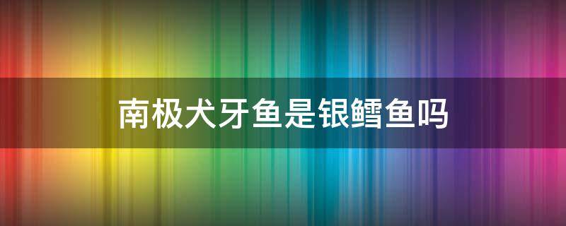 南极犬牙鱼是银鳕鱼吗（南极银鳕鱼和法国银鳕鱼有啥区别吗）