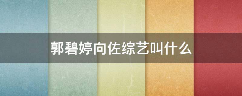 郭碧婷向佐综艺叫什么（向佐郭碧婷综艺节目叫什么名字）