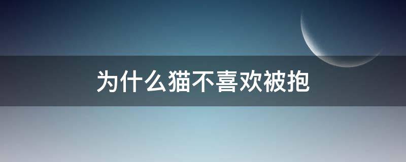 为什么猫不喜欢被抱 为什么猫不喜欢被抱起来