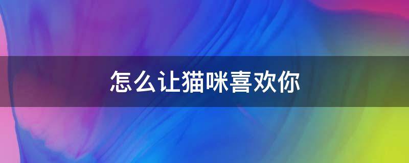 怎么让猫咪喜欢你（怎样让猫咪喜欢你）