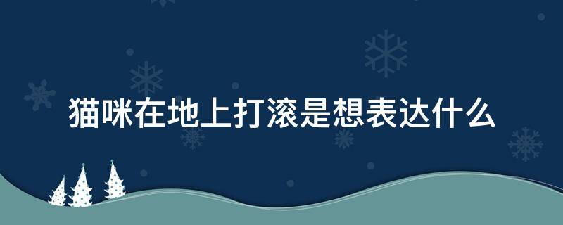 猫咪在地上打滚是想表达什么 猫咪在地上打滚是想表达什么咬人