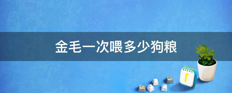 金毛一次喂多少狗粮（一个月的金毛喂多少狗粮）