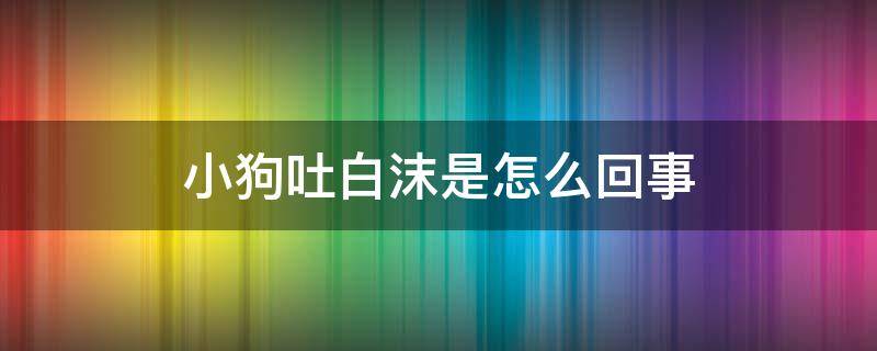 小狗吐白沫是怎么回事 小狗吐白沫是咋回事