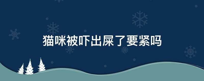 猫咪被吓出屎了要紧吗 猫会被吓到拉出屎来吗