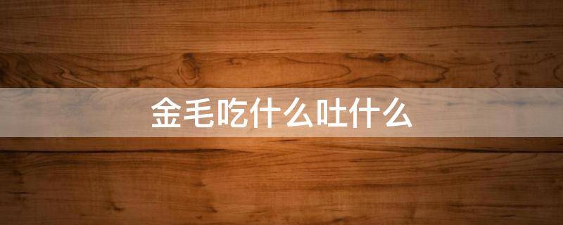 金毛吃什么吐什么 金毛吃什么吐什么喝什么也吐什么