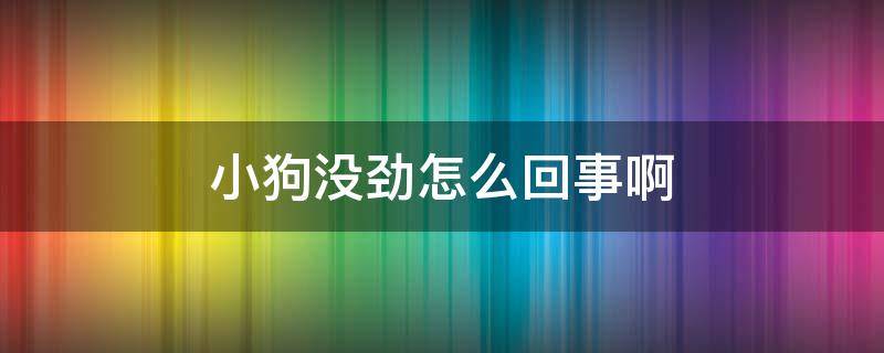 小狗没劲怎么回事啊（狗狗没劲是怎么回事啊）