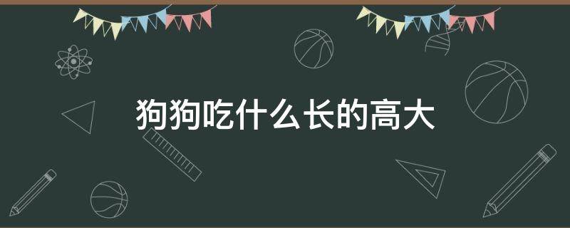 狗狗吃什么长的高大（狗狗吃什么能长高）
