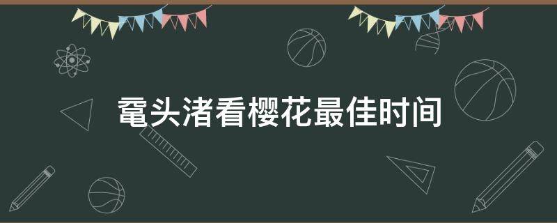 鼋头渚看樱花最佳时间 鼋头渚什么季节看樱花