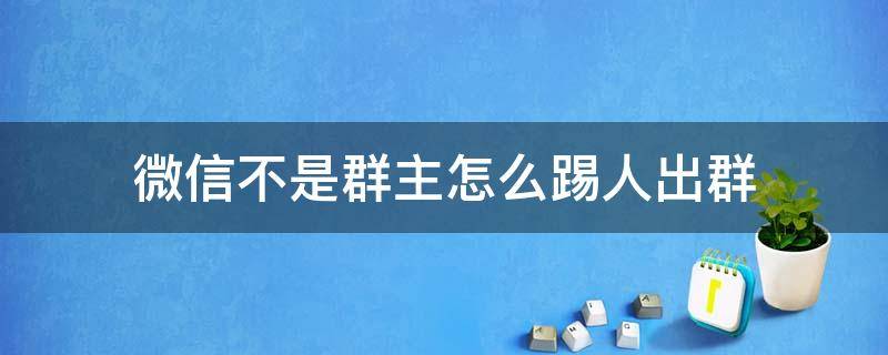 微信不是群主怎么踢人出群（微信不是群主如何踢人出群）