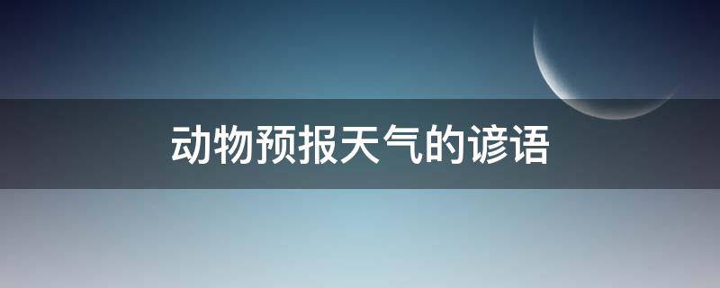 动物预报天气的谚语 动物预报天气的表现