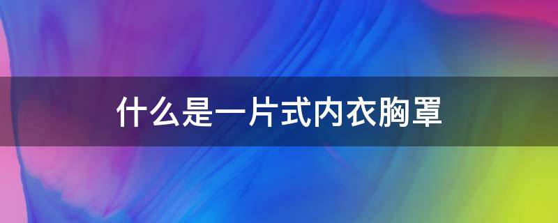 什么是一片式内衣胸罩 一片式的内衣