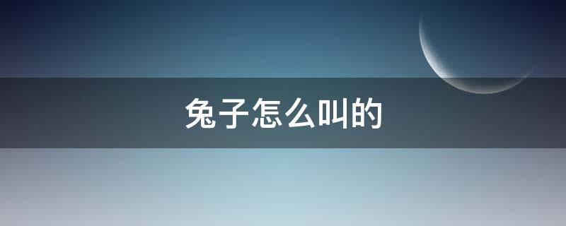 兔子怎么叫的 兔子怎么叫的声音播放