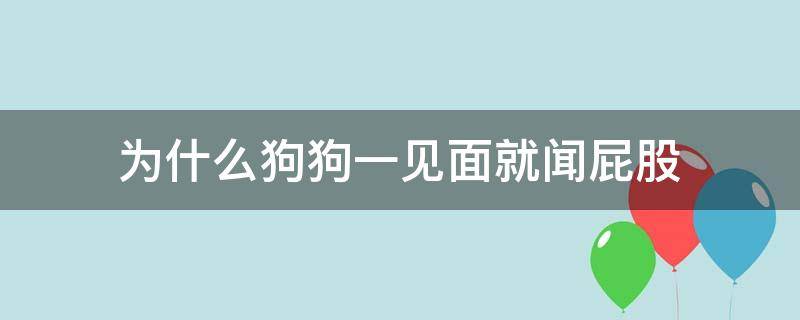 为什么狗狗一见面就闻屁股（狗狗见面为什么要闻屁股）