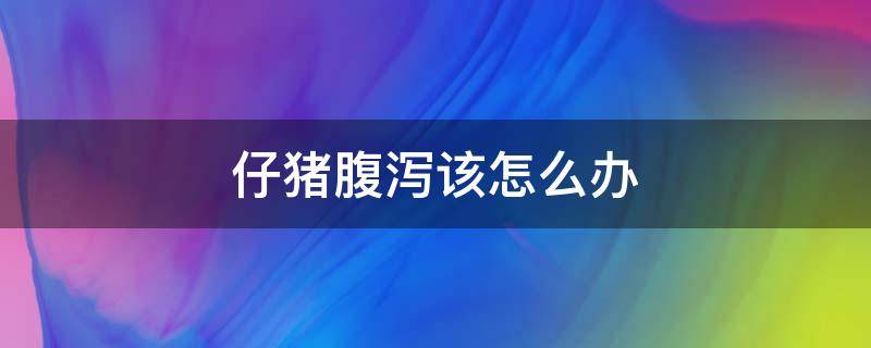 仔猪腹泻该怎么办（仔猪腹泻的症状和治疗方法）