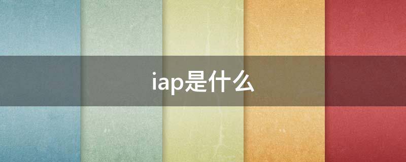 iap是什么（iap是什么考试的缩写）