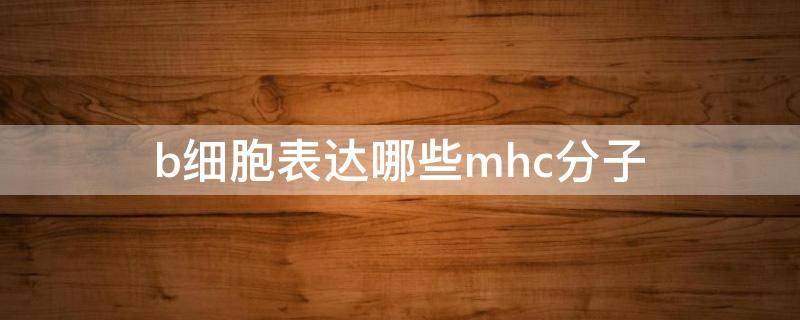 b细胞表达哪些mhc分子 B细胞表达的MHC分子为