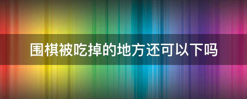 围棋被吃掉的地方还可以下吗 围棋被吃了的地方还能下棋吗