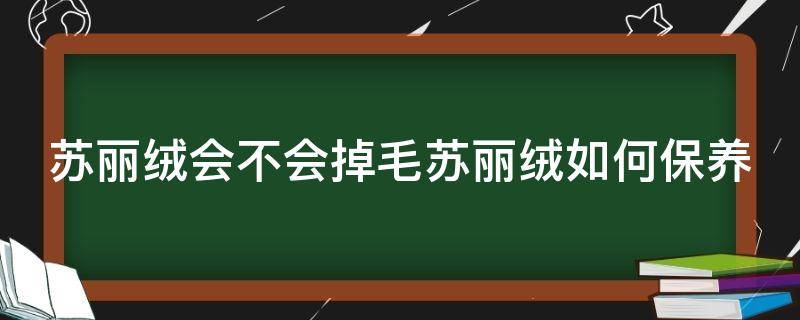 苏丽绒会不会掉毛苏丽绒如何保养（苏丽绒起球吗）