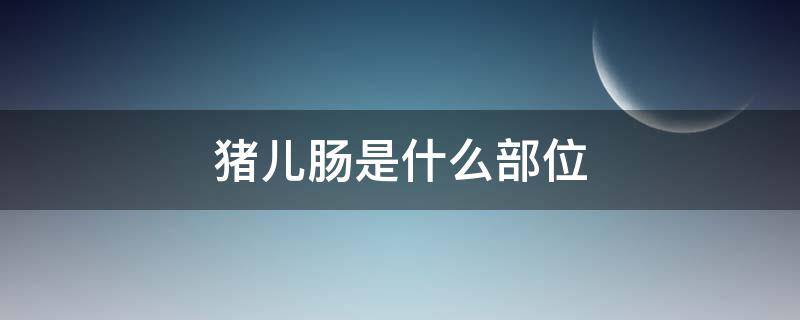 猪儿肠是什么部位 猪儿肠是什么器官