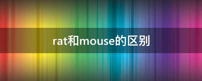 rat和mouse的区别 rat和mouse的区别 鼠年