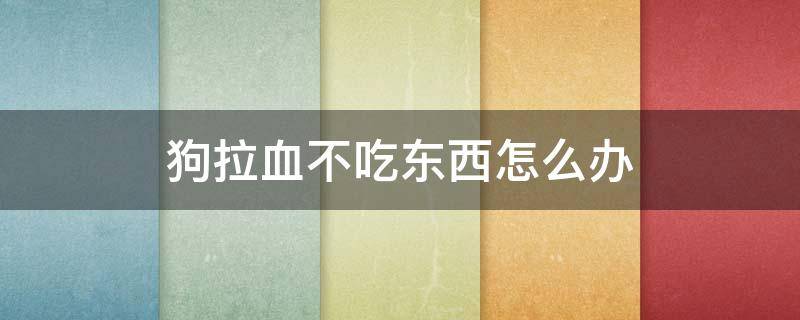 狗拉血不吃东西怎么办 狗拉血不吃东西是怎么回事