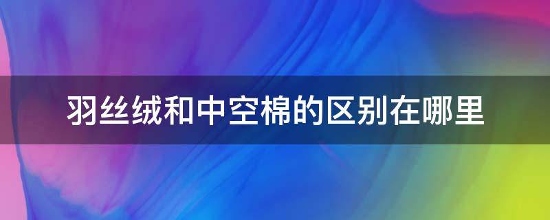 羽丝绒和中空棉的区别在哪里（羽丝绒和中空棉哪个好）